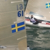 Svenska Mästerskapen 2018